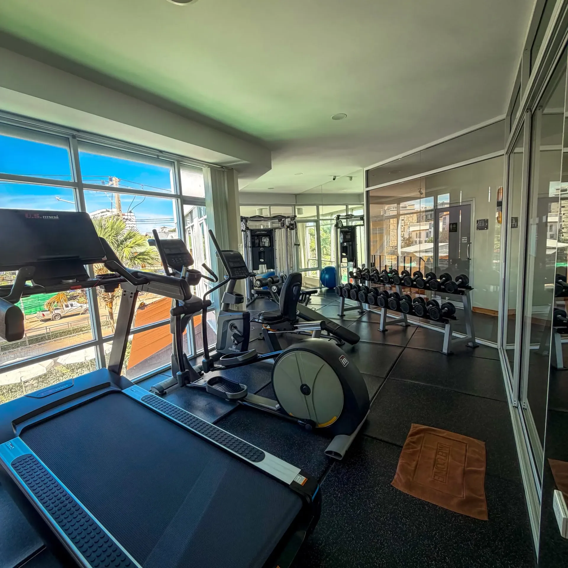 Fitness (Earth)
